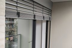 Alu31